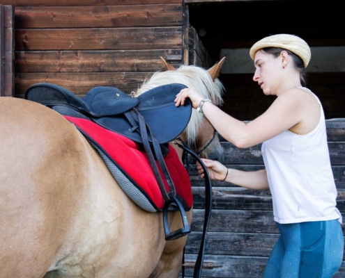 horseback riding lessons siena